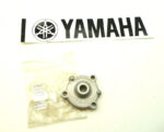 Yamaha oil pump cover (256-13316-02)