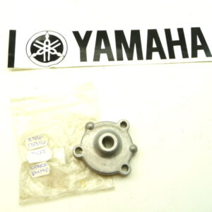 Yamaha oil pump cover (256-13316-02)
