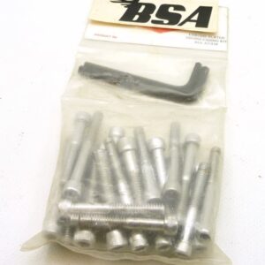 Set of chrome plated Allen bolts A7 - A10 twins (Whitworth)