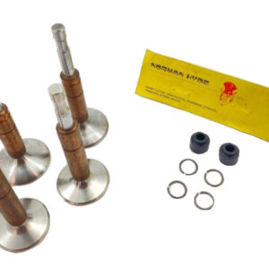 Triumph T140 E - T140 ES Bonneville + TR7 RV Valve & guide set (70-4603 + 2904 / 71-7202 + 7506 etc)