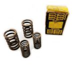 Panther model 7.5 Set of valve springs VS 477