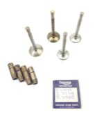 Triumph Tiger 90  (T90) Valves & guides set (E 4640 - E 3739 - E 3208)