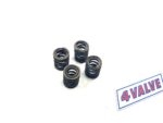 CCM 4-valve set of valve springs opn. E135